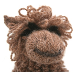 Horace the alpaca